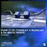 Pump It Up (Tigerlily x Rudeejay & Da Brozz Remix)