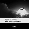 Night Birds - Single