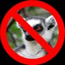 Not a Lemur