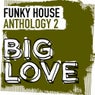 Big Love Funky House Anthology 2