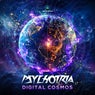 Digital Cosmos