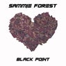 Black Point