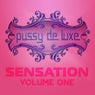 Pussy de Luxe Sensation, Vol. 1 (Best Selection of House Tracks)