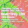 Beautiful Life (Remixes)