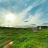 Roadside Dream