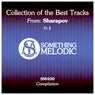 Collection of the Best Tracks From: Sharapov, Pt. 1