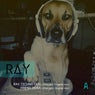 Ray Techno Dog