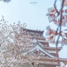 Kogen