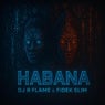 Habana (feat. Fidek Slim) [Afro Tech]