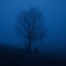 blue hour