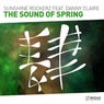 The Sound Of Spring (Extended Mix)