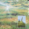 Endless Brainspill