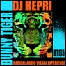 Radical Audio Visual Experience
