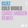 Cold World (David Hansen Remix)