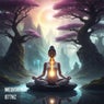 Whispers from the Hidden Sky - 877Hz
