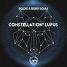 Constellation Lupus