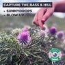 Sunnydrops / Blow Up