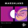 Marshland