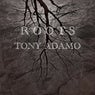 Roots