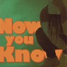 Now You Know (feat. branblan.)