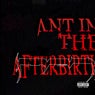 Ant In The Afterbirth (feat. Loathe)