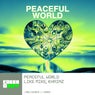 Peaceful World (Extended Mix)