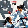 seigi (Chillout)