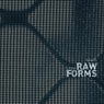 1 Year RAW FORMS