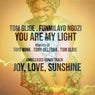 You Are My Light (The Remixes)