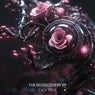 The Rediscovery EP