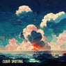 Cloud Spotting