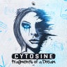 Fragments Of A Dream