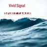 Vivid Signal