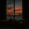Daydreaming