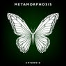 Metamorphosis