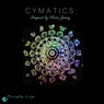 Cymatics: Inspired by Hans Jenny