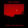 A Cry in the Darkness