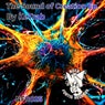 The Sound of Creation