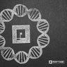 DNA EP
