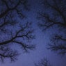 Eternity's Last Pulse