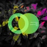 Best Melodic Techno 2025