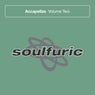 Soulfuric Accapellas Volume 2