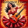 Flamenco Fuego - Instrumental Rhythms of Passion