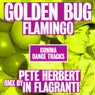 Flamingo Remix EP