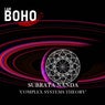 Complex Systems Theory