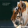 Flying Tiger EP