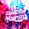MADNESSSS