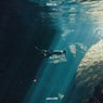 DIVEIN