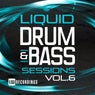 Liquid Drum & Bass Sessions, Vol. 6