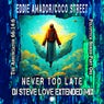 Never Too Late (DJ Steve Love Extended Mix)